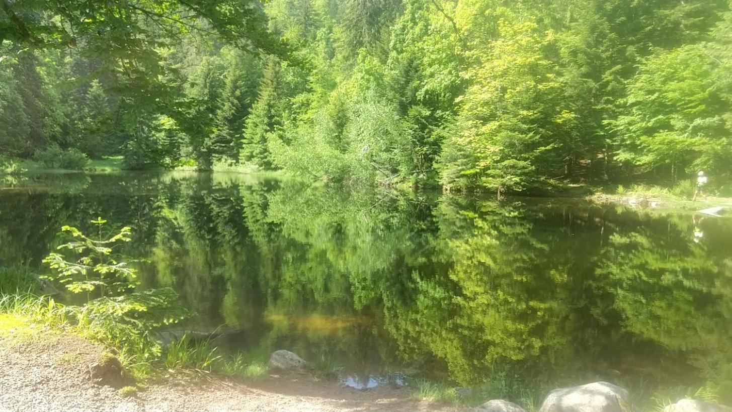 Rev2 Montagne * La Bresse